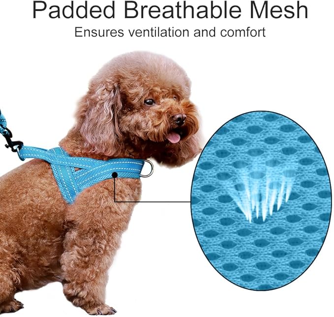 Plutus Pet No Pull Dog Harness for Small Dogs, Breathable Mesh Padded | Adjustable Reflective with Handle, Escape Proof, Quick Fit Pet Vest, Front Clip, for Training and Walking, Cyan, S