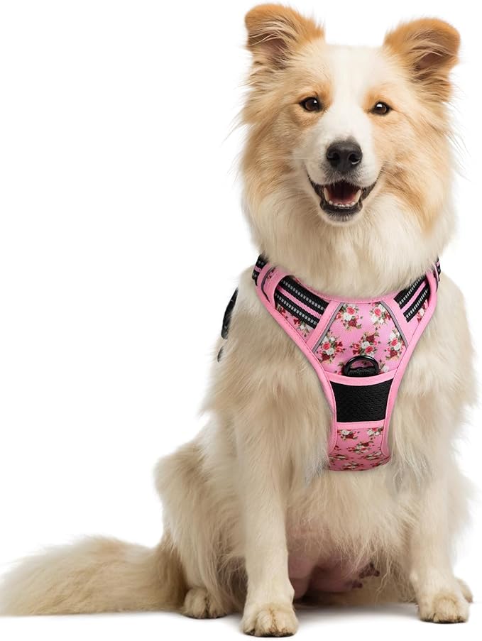rabbitgoo Dog Harness, No Pull Medium Sized with 2 Leash Clips, Pet Vest | No Choke with Handle, Adjustable Soft Padded, Reflective, Easy Control for Walking, Pink Rose, Medium