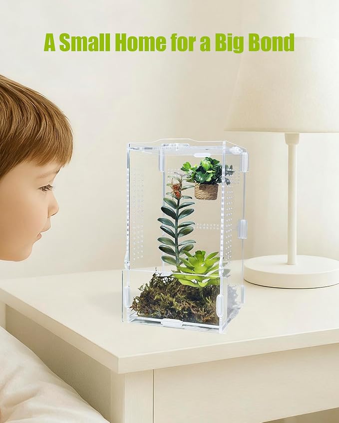 Jumping Spider Enclosure, Transparent Arboreal Tarantula Habitat, Praying Mantis Terrarium Critter Cage for Jumping Spider, Tarantula Slings, Mantis, Snail, Isopods, Beetles, Millipedes