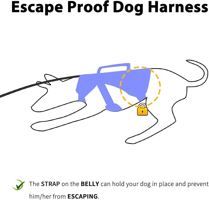 Escape Proof Dog Harness, Dachshund Harness, Reflective Dog Harness with Handle, Durable,Adjustable Vest for Small Medium Large Dogs Walking, Training, and Running Gear (Technicolor Blue,L)