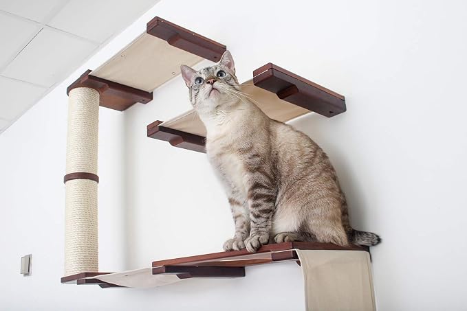 CatastrophiCreations Deluxe Cat Fort Wall Mounted Lounge, Climb and Play Furniture Cat Tree Shelves - Onyx/Charcoal Gray, One Size