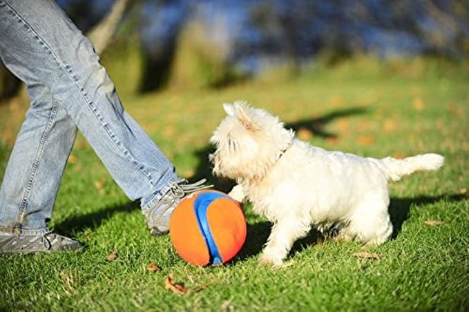 Chuckit! Kick Fetch Ball Dog Toy, Small (6 Inch) (Pack of 4)