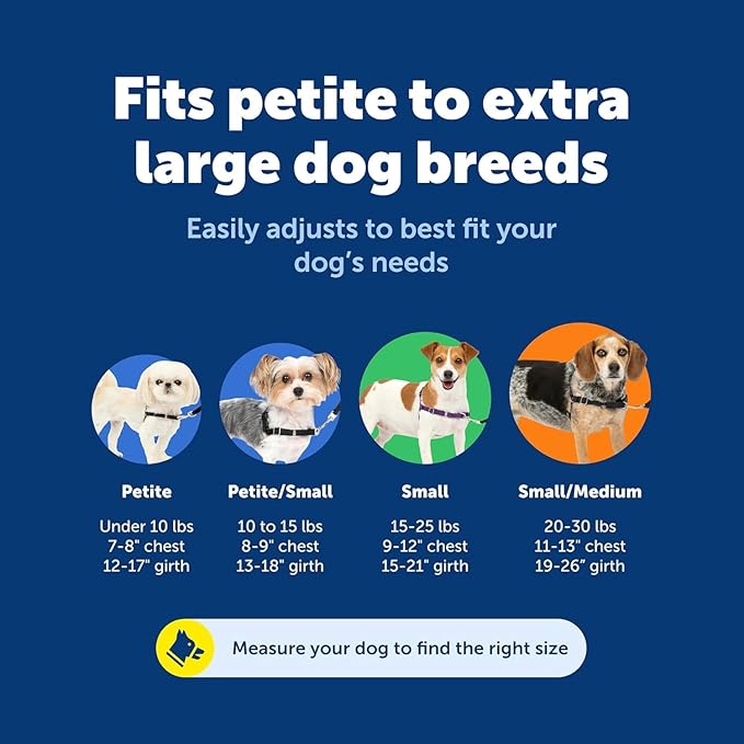 PetSafe Easy Walk Harness, No Pull Dog Harness, Royal Blue, Small/Medium | Patented Martingale Loop Gives Gradual Shoulder Pressure to Stop Pulling, Front-Chest Leash Clip Prevents Gagging
