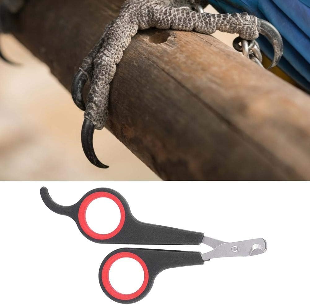 Bird Nail Clipper Grooming Tool Nail Scissors Clipper Pet Bird Parrot Small Animals Accessory for Small Parrot Birds
