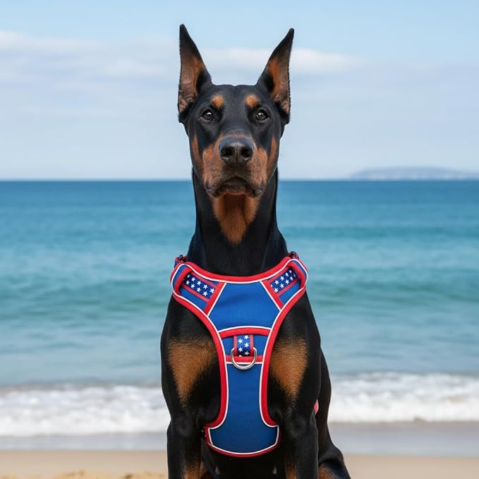Extra Large Dog Harness, Heavy Duty Patriotic Pet Vest for German Shepherd, Golden Retriever, No Pull XL Puppy Chest Harness with Neck Buckles & Handle, Tactical Doggie Walking Gear (X-Large)