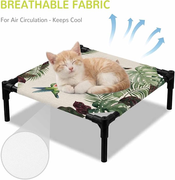Outdoor Elevated Dog Bed for Small Dogs, Summer Hummingbirds Breathable Cooling Raised Dog Cot for Indoor/Outdoor, Tropical Palm Leaves Farmhouse Rustic Waterproof Elevated Pet Beds, S 20 x 20 in