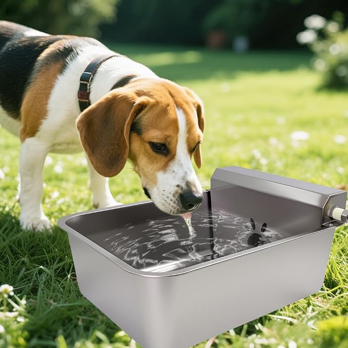 Automatic Dog Water Bowl Dispenser 23L Large with Hose & Adapter | Stainless Steel, Rustproof,Large Capacity, Self Filling, with Float Valve,No Mass, No-spill,outdoor,for Cat,Livestock,Chicken