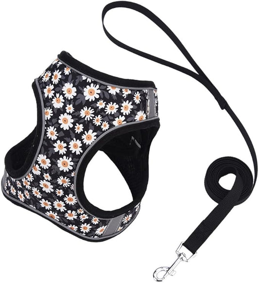 Step in Dog Harness and Leash Set, Flower Adjustable Easy Walk Puppy Harnesses, Soft Mesh No Pull Pet Vest Harness for Small Dogs and Cats(Daisy, XXS)
