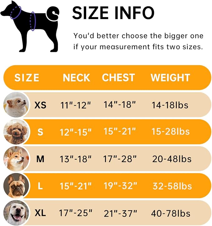 IVY&LANE No Pull Dog Harness for Small Dogs, Vest Harness with Leash, Safety Belt and Storage Strap, Fully Adjustable, 360° Reflective Strip, Soft Handle (Orange, S)