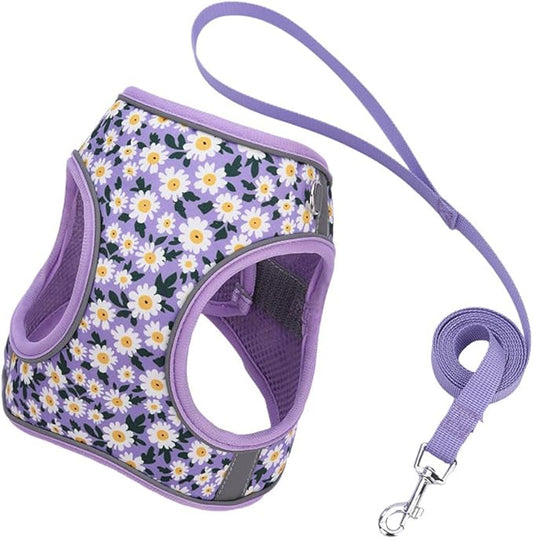 Step in Dog Harness and Leash Set, Flower Adjustable Easy Walk Puppy Harnesses, Soft Mesh No Pull Pet Vest Harness for Small Dogs and Cats(Daisy, XXS)