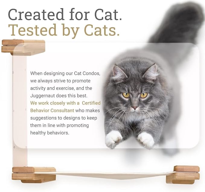 CatastrophiCreations Cat Fort Set - Multiple-Level Cat Hammock & Climbing Activity Center Wall-Mounted Cat Tree Shelves