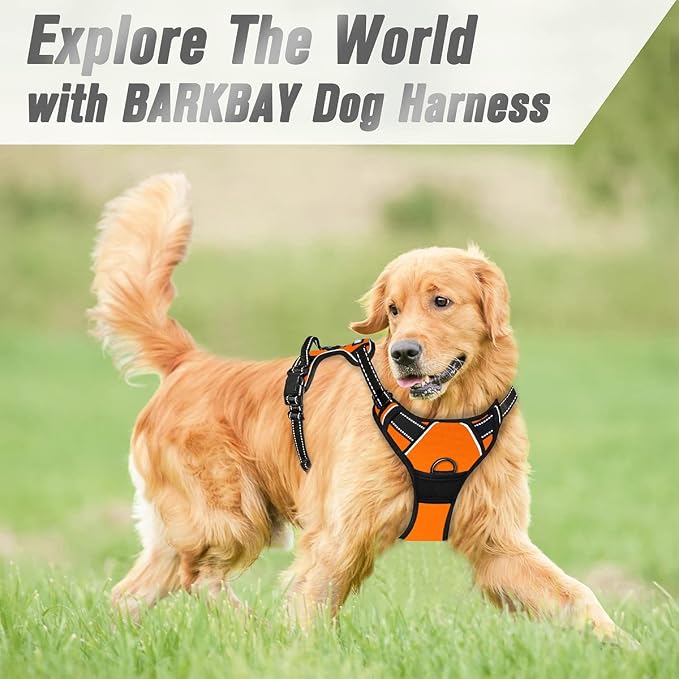 BARKBAY Dog Harness No Pull for Medium Sized Dog Front Back Clips,Dog Vest | Soft Padded No Choke With Handle,Easy On&Off,Adjustable Reflective For Walking Training Running(Orange,M)