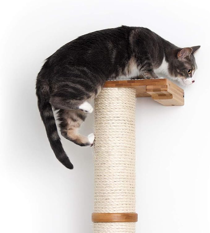 CatastrophiCreations 3-Tier Sisal Climbing Pole, English Chestnut Bamboo, one Size