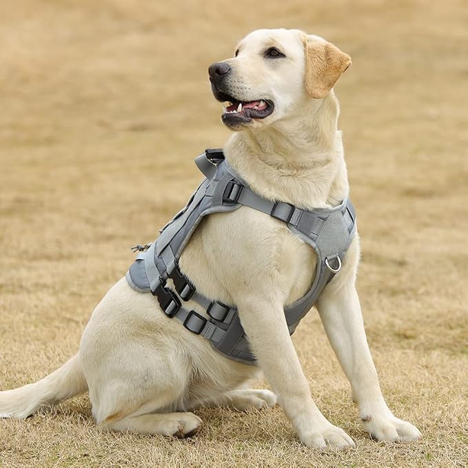 Tactical Dog Harness for Medium Large Dogs No Pull, Military Dog Harness with Handle,Service Dog Vest with Molle & Loop Panels, Adjustable Pet Harness for Training Hunting Walking Gray