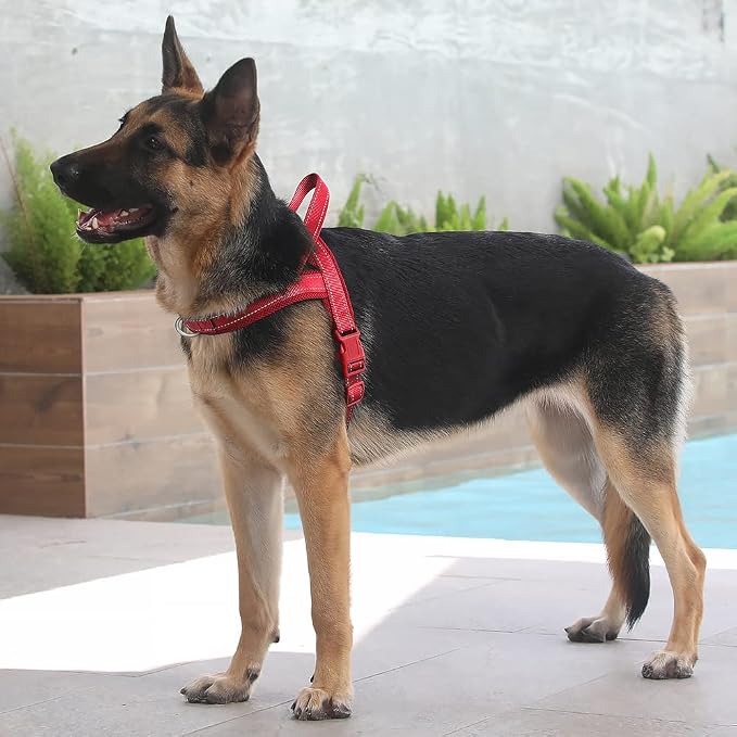 Plutus Pet No Pull Dog Harness for Large Dogs, Breathable Mesh Padded | Adjustable Reflective with Handle, Escape Proof, Quick Fit Pet Vest, Front Clip, for Training and Walking, Red, L