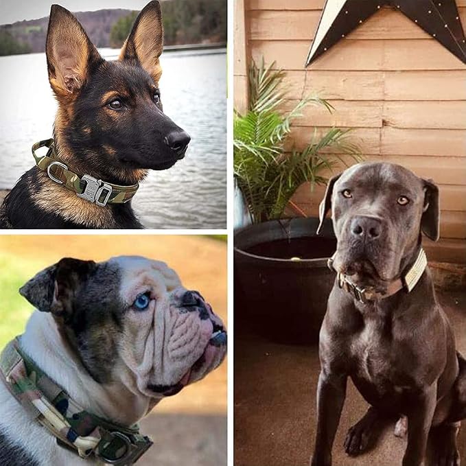 Tactical Dog Collar Military Dog Collar Adjustable Nylon Dog Collar Heavy Duty Metal Buckle with Handle for Dog Training (Camo,S) | Adjustable Fit,Heavy-Duty Quick-Release Metal Buckle,1000D Nylon Fabric,Soft-Padded Webbing,D-Ring,for Training & Hiking