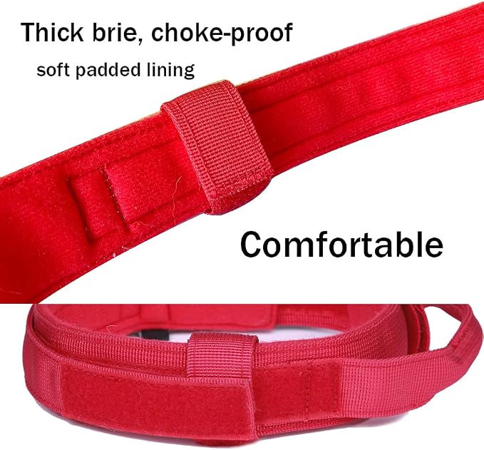 Tactical Dog Collar and Leash Set for Large Dogs with Control Handle,Red | 1000D Heavy-Duty Nylon Fabric,Quick-Release Metal Buckle,Adjustable Fit,Soft-Padded Webbing,D-Ring,for Training & Hiking,M
