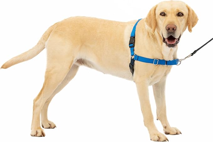 PetSafe Easy Walk Harness, No Pull Dog Harness, Royal Blue, Large | Patented Martingale Loop Gives Gradual Shoulder Pressure to Stop Pulling, Front-Chest Leash Clip Prevents Gagging