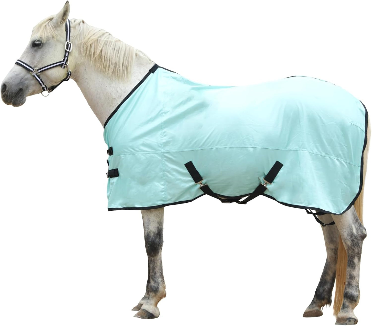Horse Fly Sheet, Standard Neck Comfy Mesh Fly Sheet for Horses, Equine Summer Sheets UV-Protective Green 63