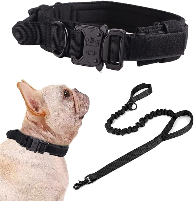 Tactical Dog Collar and Leash Set Adjustable Military Nylon Dog Collar with Control Handle and Heavy Duty Metal Buckle for Large Dogs （Black S | 1000D Nylon Fabric,Adjustable Fit,Heavy-Duty Quick-Release Metal Buckle,Soft-Padded Webbing,D-Ring,for Trai...
