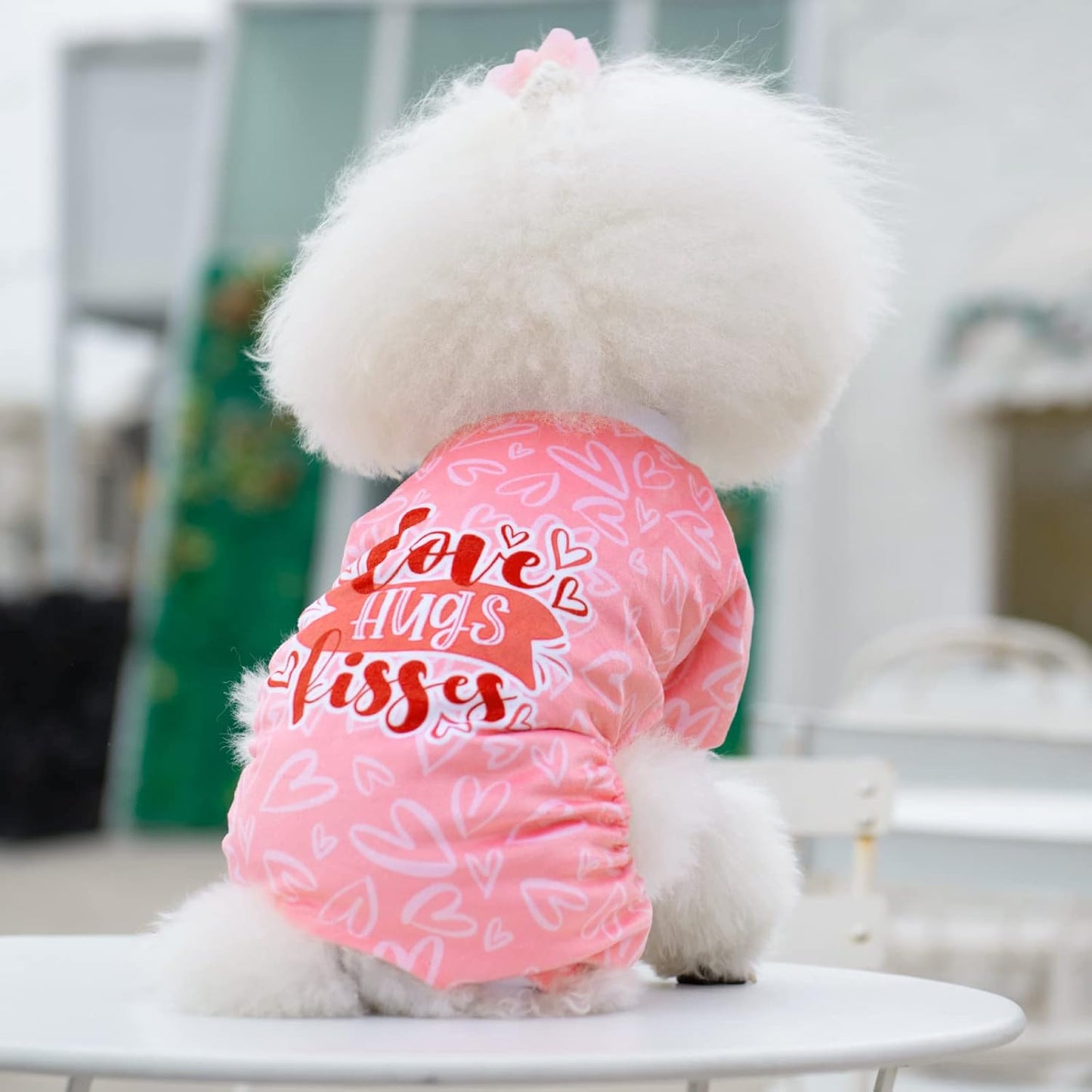 CuteBone Dog Valentine's Day Pajamas Puppy Onesies Small Dogs Soft Pjs Coat Cat Apparel Comfy Pet Clothes Outfit Doggie Bodysuit P273M