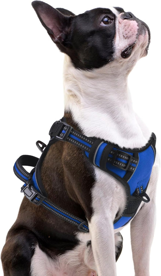 PUPTECK No Pull Dog Harness Small Sized, Adjustable Reflective Dog Harness with Handle Easy Control, Comfortable Soft Padded Pet Vest Harness for Small Dogs, Blue S
