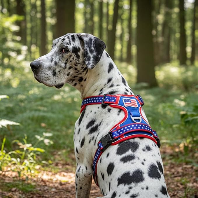XXL Giant Dog Harness, Maximum Control Heavy Duty Training Gear, No Pull Big Doggy Vest with Neck Buckle, Breathable Padded Straps & Strong Handle for Puppy Rottweiler, Great Dane (XX-Large)