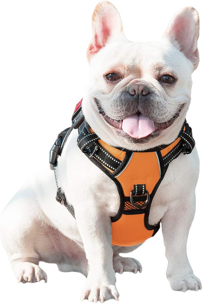 No Pull Dog Harnesses for Small Dogs Reflective Adjustable | Front Clip Vest with Handle 2 Metal Rings 3 Buckles [Easy to Put on & Take Off] (XS, Orange)