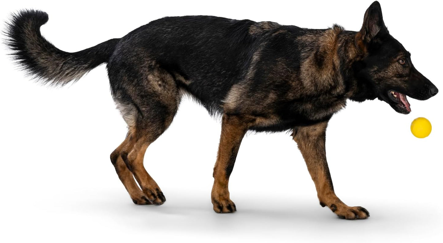 WEST PAW Boundr Ball Dog Fetch Toy – Bouncing Toys for Dogs, Fetch, Catch, Chewing, Play – Floatable, Recyclable Balls – Small Dandelion Yellow/Hot Pink 2-Pack