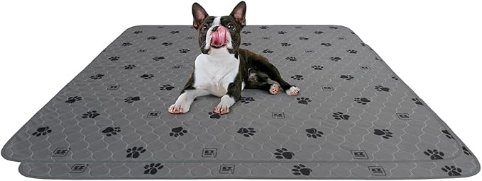 EZwhelp Reusable Quick Dry Pet Pee Pads - Waterproof, Washable for Large Dogs & Cats - Non-Slip Training Pads, Fast Absorbent - 50" x 50" Pack of 2