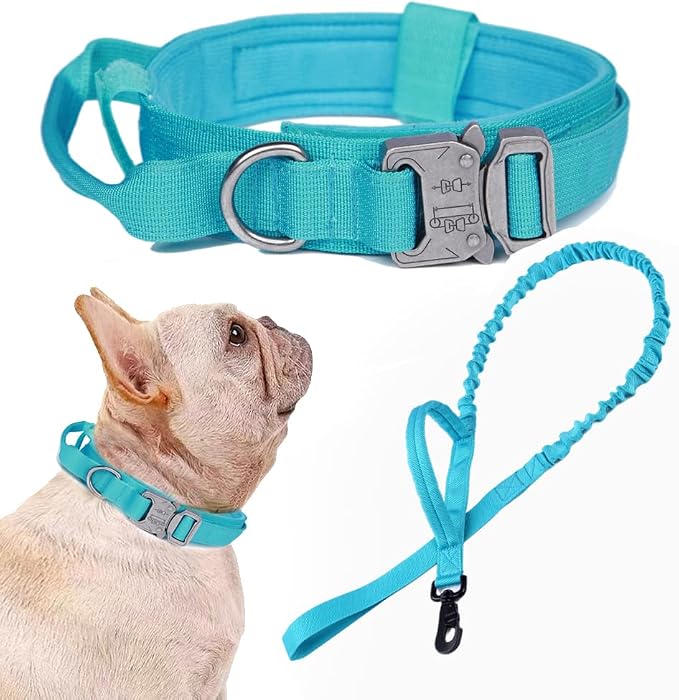 Tactical Dog Collar and Leash Set for Large Dogs with Control Handle,Blue | 1000D Heavy-Duty Nylon Fabric,Quick-Release Metal Buckle,Adjustable Fit,Soft-Padded Webbing,D-Ring,for Training & Hiking,S