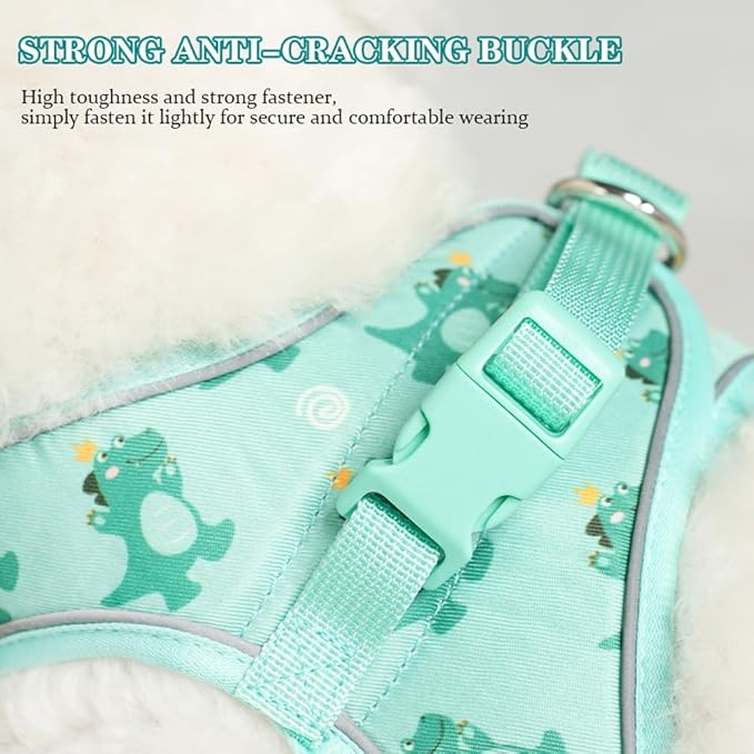 Step in Dog Harness and Leash Set, Flower Adjustable Easy Walk Puppy Harnesses, Soft Mesh No Pull Pet Vest Harness for Small Medium Dogs(Green, S)