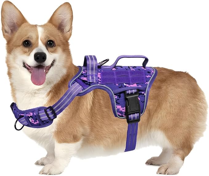 Dog Harness, Tactical No Pull for Small Sized Dog with Handle | Breathable Soft Padded, Adjustable, Reflective, Molle System, Heavy Duty, No Choke for Walking Training, Purple Camo Small