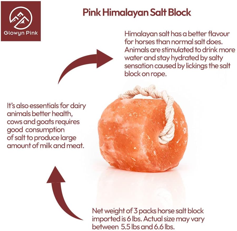 Himalayan Mineral Salt Block on Rope Pack of 4 (3lbs each) – 100% Organic Pink Salt Lick for Horses and Livestock. Deer Attractant with No Harmful Elements.