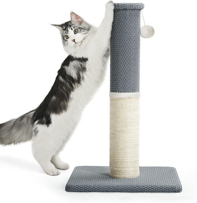 Made4Pets Cat Scratching Post with Sisal & Carpet for Indoor Cats, 23.6" | Cat Scratcher with Wide Stable Base, Interactive Hanging Toys, Ideal for Kittens, Small Cats and Everyday Indoor Play