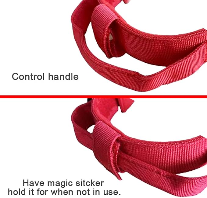 Tactical Dog Collar and Leash Set for Large Dogs with Control Handle,Red | 1000D Heavy-Duty Nylon Fabric,Quick-Release Metal Buckle,Adjustable Fit,Soft-Padded Webbing,D-Ring,for Training & Hiking,M