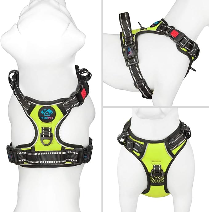 Reflective Dog Harness Large Breed Adjustable No Pull Vest | with Handle 2 Metal Rings 3 Buckles [Easy to Put on & Take off](XL, Green)