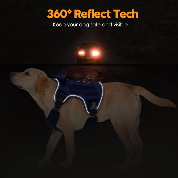 Heavy-Duty Tactical Dog Harness for Large Dogs, No Pull Adjustable Reflective Pet Vest with Molle System, K9 Military-Grade Control for Service Training, Outdoor & 10+ Breeds, Dazzling Blue, Large