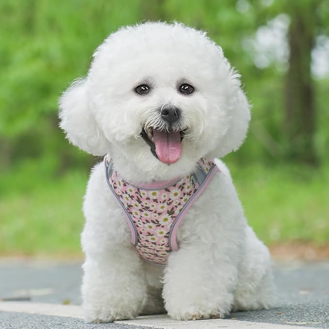 Step in Dog Harness and Leash Set, Flower Adjustable Easy Walk Puppy Harnesses, Soft Mesh No Pull Pet Vest Harness for Small Medium Dogs(Daisy, M)