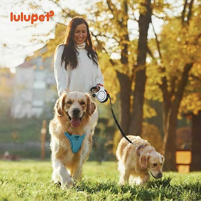 Dog Harness and Leash Set with Collar, No Pull Reflective Pet Vest Harness with Control Handle for Medium Large Dogs Walking and Training