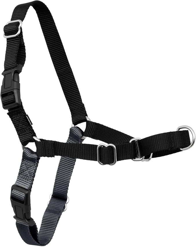 PetSafe Easy Walk Harness, No Pull Dog Harness, Charcoal Gray, Medium/Large | Patented Martingale Loop Gives Gradual Shoulder Pressure to Stop Pulling, Front-Chest Leash Clip Prevents Gagging