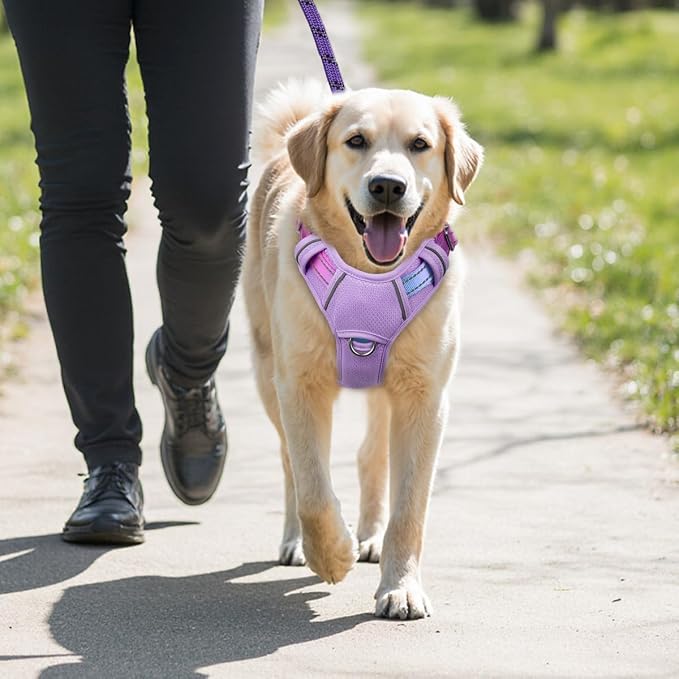 BARKBAY No Pull Dog Harness Large Reflective Dog Harness with Front Clip and Easy Control Handle for Walking Training Running with ID tag Pocket(Lavender Sky,L)