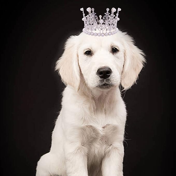 PET SHOW 2pcs Large Dog Crown Headband Sheep Big Pet Hat for Birthday Party Silver Gold Rhinestone Faux Pearl Crown for Pets Wedding Hair Accessories Photo Prop Costume