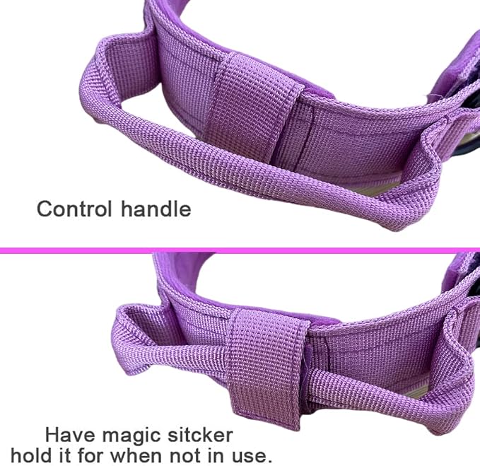 Tactical Dog Collar for Large Dogs with Control Handle,Purple,M | 1000D Heavy-Duty Nylon Fabric,Quick-Release Metal Buckle,Adjustable Fit,Soft-Padded Webbing,D-Ring,for Training & Hiking