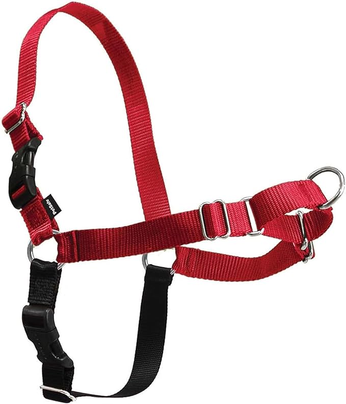 PetSafe Easy Walk Harness for Dogs - Pull-Free Walks - Patented Martingale Loop Design - Front Chest Leash Attachment - Comfort Straps - Breathable Harness Design - Large, Red/Black | Patented Martingale Loop Gives Gradual Shoulder Pressure to Stop Pul...