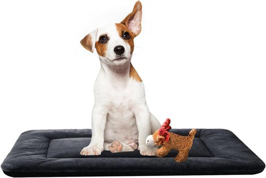 Dog Beds Crate Pad for Medium Dogs Fit Dog Crates,Washable & Anti-Slip Kennel Pad for Dogs Cozy Sleeping Mat,Dark Gray 30inch