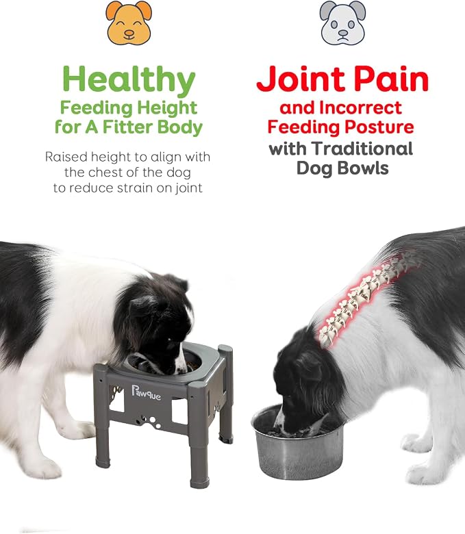 35oz Elevated Slow Feeder Dog Food Bowls with Adjustable Stand | 3 Heights (6.1", 7.7", 9.3"), Raised Dog Bowls for Medium and Small Breed Dogs Cats, Non Slip Rubber & Mess Proof