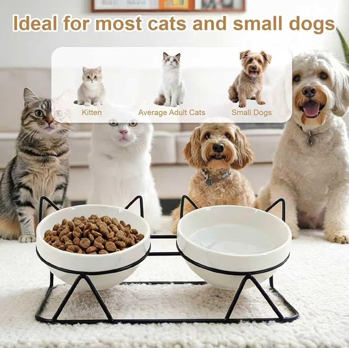 Elevated Tilted Cat Bowls for Indoor Cats，Raised Ceramic Cat Bowl Elevated 15°,Pet Feeding Bowls for Food and Water Anti Vomiting Bowl(Double Ceramics and Tilt Shelf) Suitable