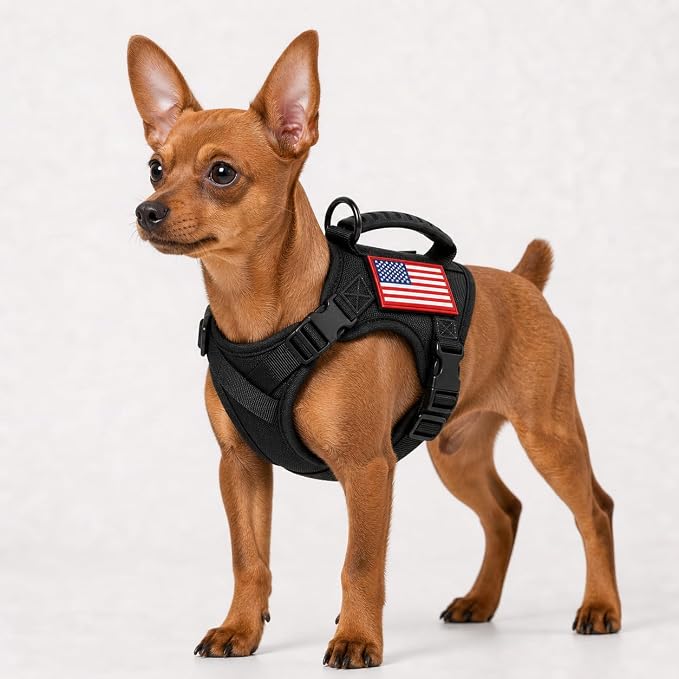 Tactical Dog Harness for Small Puppy, Escape Proof No Pull Military Dog Vest with Vertical Handle, Adjustable XS Puppy Harness with Chest Support Pad, Breathable Mesh, 2 Patches, Black
