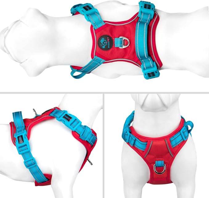 No Pull Dog Harness, Unique Colors Reflective Adjustable Dog Vest, with Soft Training Handle Metal Clips for Small Medium Large Dogs (Red Base & Teal Straps,XS)